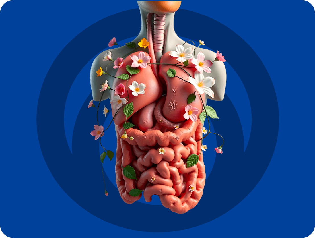 Healthy organs with flowers illustration