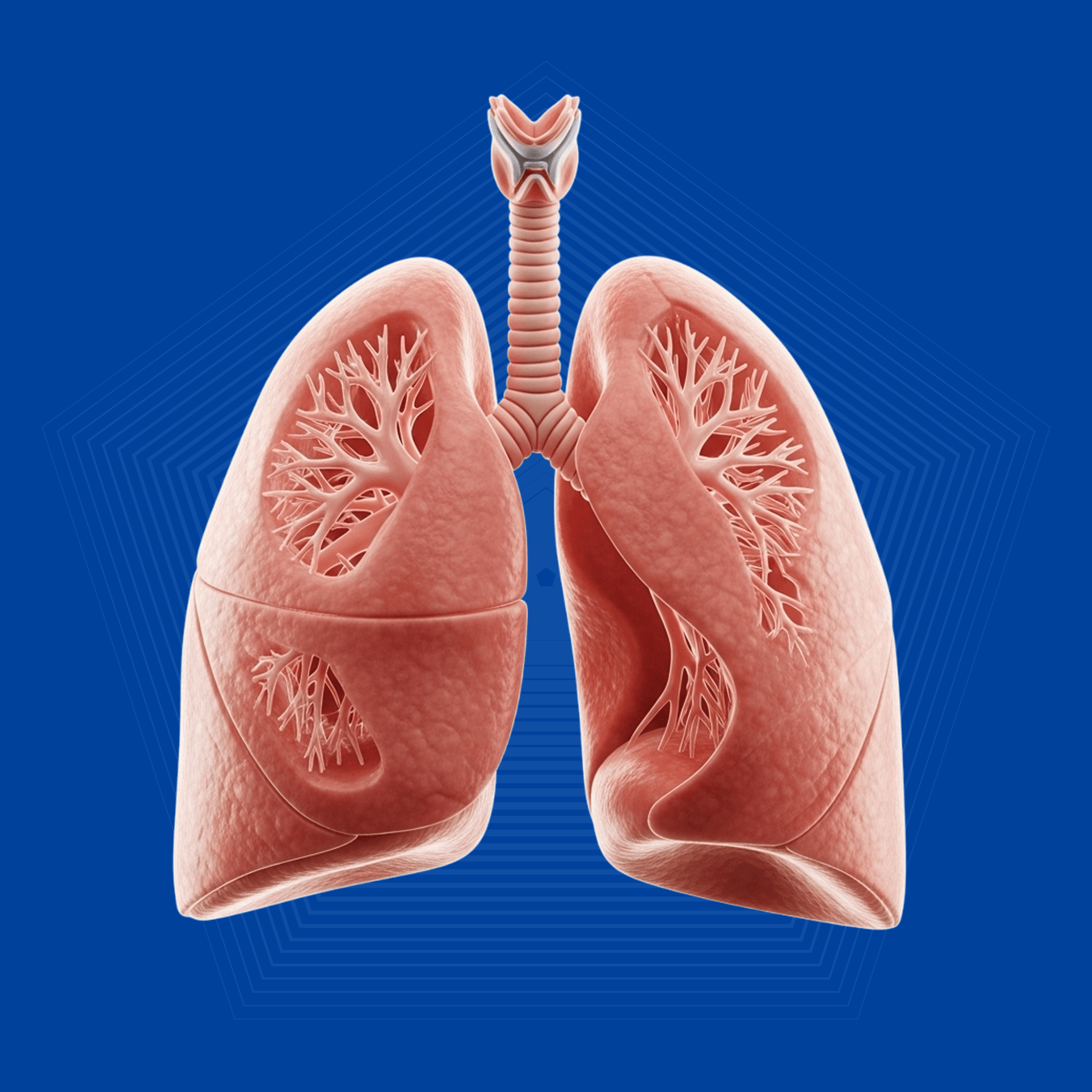 Stem Cell Transplantation